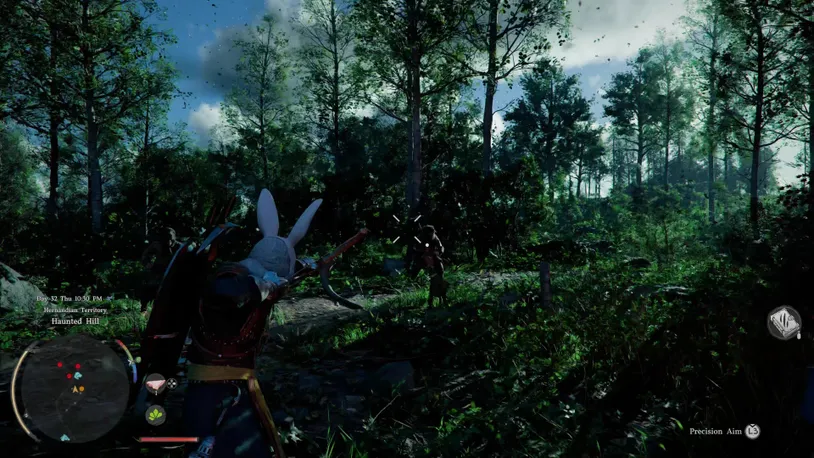 Black Bear Ambush.jpg