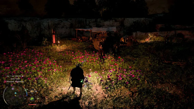 Peonies.jpg