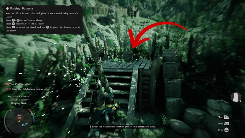 Plant Banner Pike.jpg