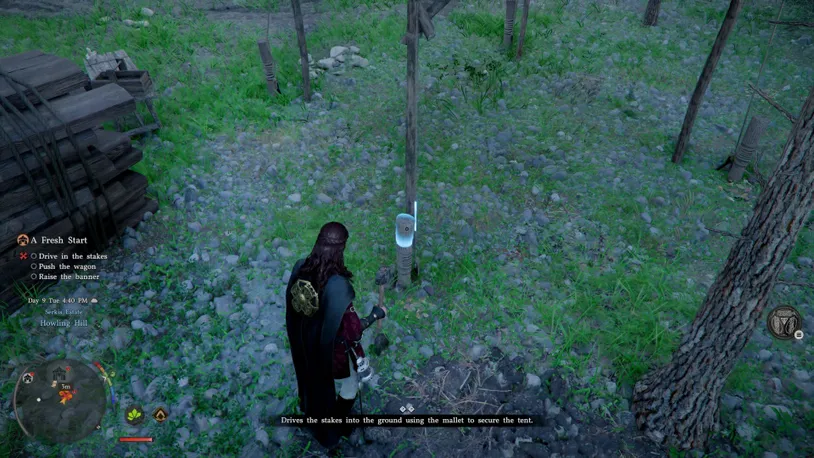 Stakes.jpg
