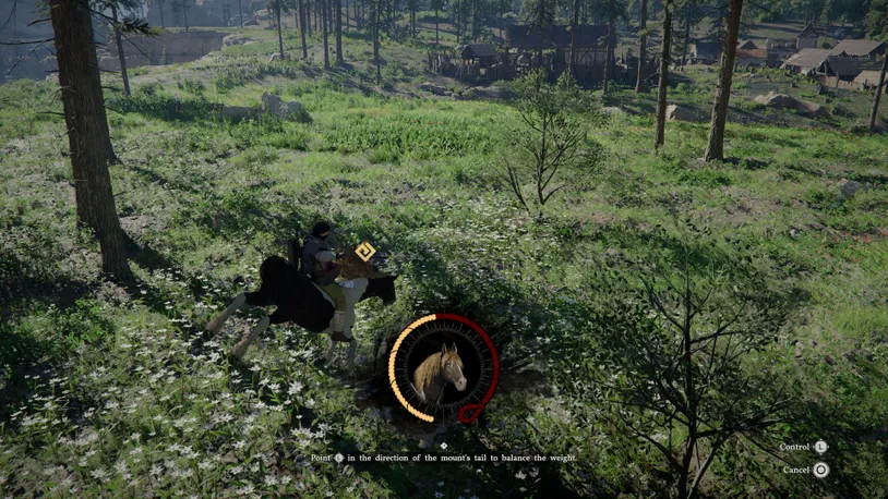 Tackle Bounties 0010 Save Some Coin and Catch a Wild Horse 2.jpg
