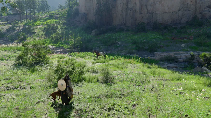 Tackle Bounties 0011 Save Some Coin and Catch a Wild Horse 1.jpg