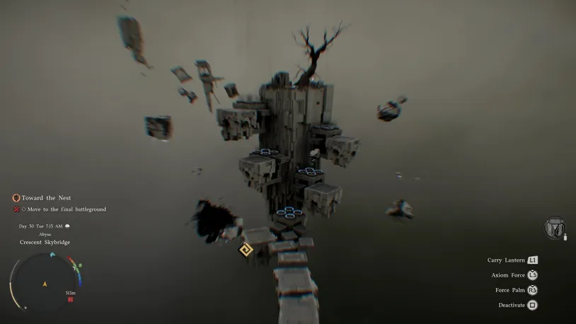 Toward the Nest.jpg
