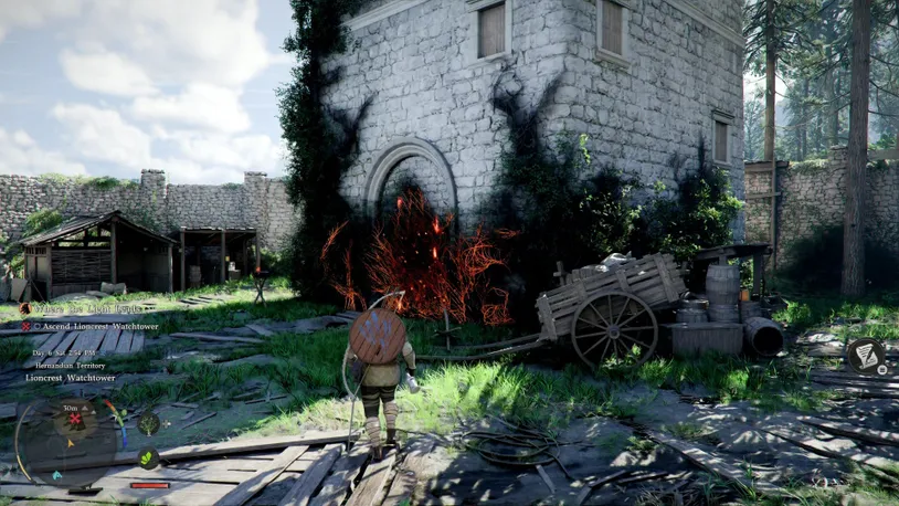 Vines Burning.jpg